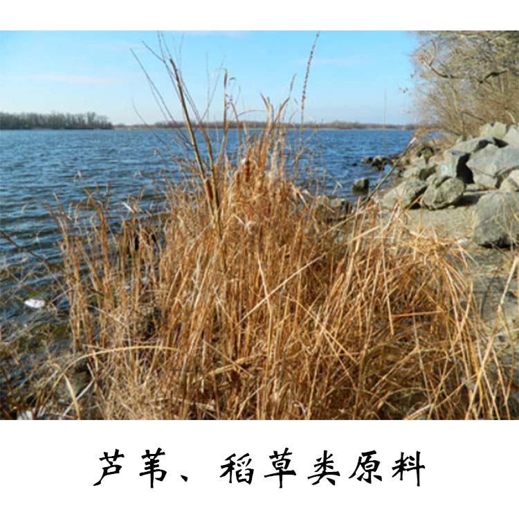 成型成套生产线方案 - 装备与工艺实拍